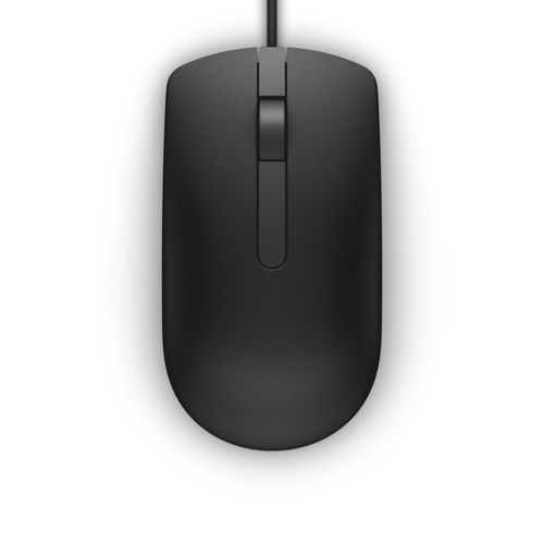 [570-AAIR] DELL MS116, Ambidextre, Optique, USB Type-A, 1000 DPI, Noir